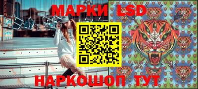 индика Гусь-Хрустальный