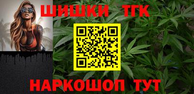 индика Гусь-Хрустальный