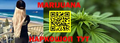 индика Гусь-Хрустальный