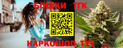 индика Гусь-Хрустальный