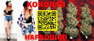 PSILOCYBIN Гусиноозёрск