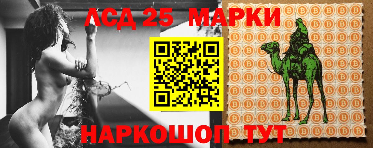 блэк спрут вход  Вход с VPN  Лсд 25 экстази кислота  Сальск  Лсд 25 экстази ecstasy 