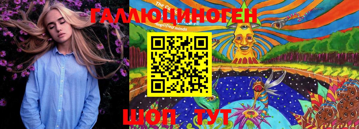 Псилоцибиновые грибы Cubensis Сальск