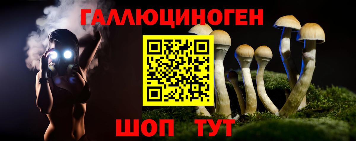 Сальск  Галлюциногенные грибы Magic Shrooms  Псилоцибиновые грибы ЛСД  Вход с VPN 